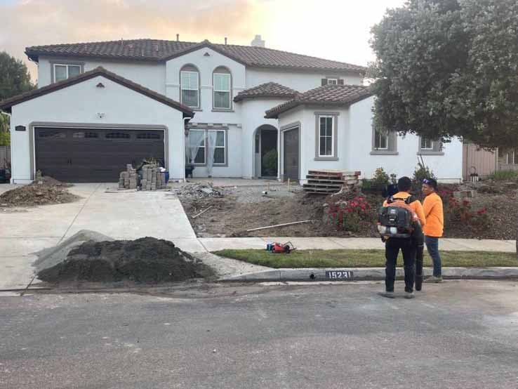Quetzalito Tree Service